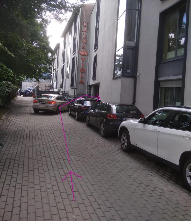 S.Neries Butas Apartment Palanga Exterior photo